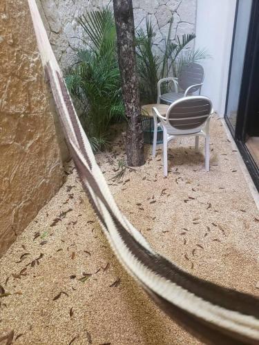 Private Rooftop With Plunge Pool And Fast Wifi Plus Free Parking