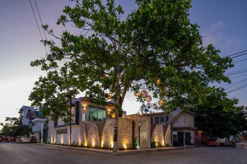 Apartamento Casa En El Arbol Wifi 100mb!