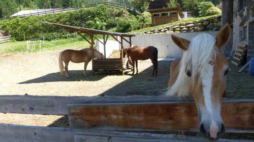 Apartamento Multererhof