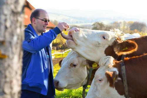 Agroturismo Strau�enhof Halmer