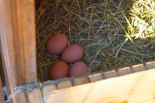 Agroturismo Strau�enhof Halmer