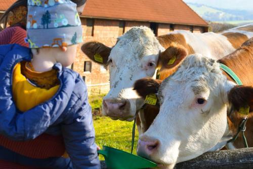 Agroturismo Strau�enhof Halmer