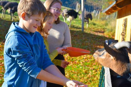 Agroturismo Strau�enhof Halmer
