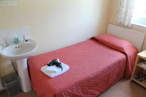 Hostal Marchfield Guest House