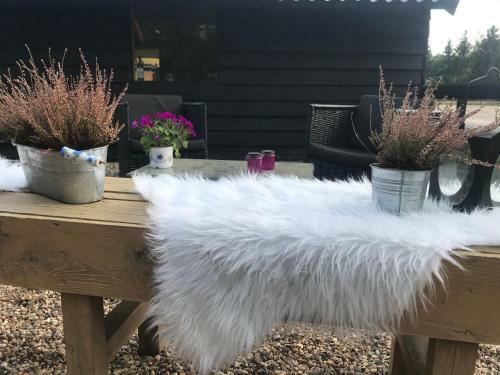 Veluwse Bos En Heide Studio