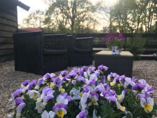 Veluwse Bos En Heide Studio