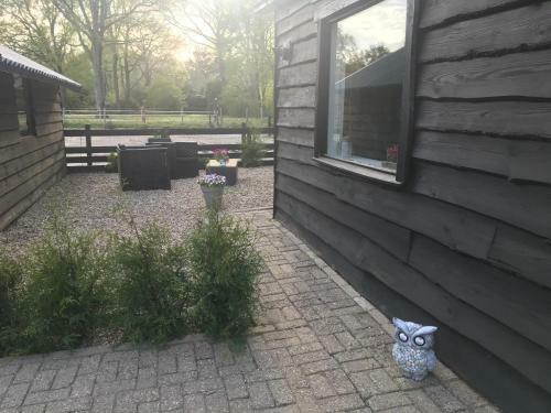 Veluwse Bos En Heide Studio