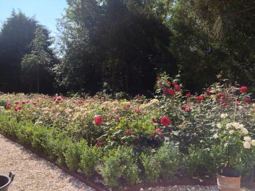 B&B Elswoutshoek