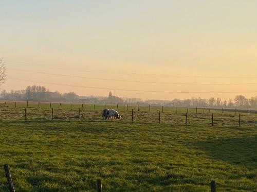 Panoramic Philippine Zeeland
