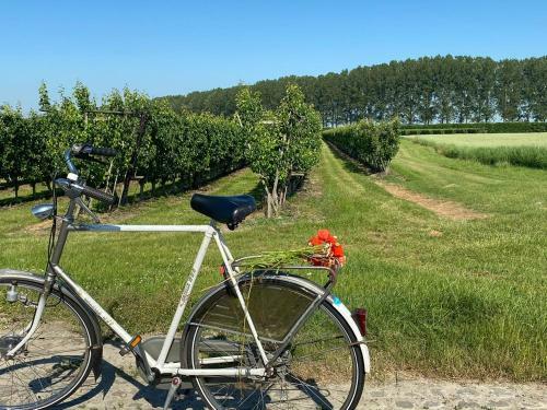 Panoramic Philippine Zeeland