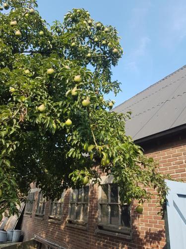 B&B Bij Boertje