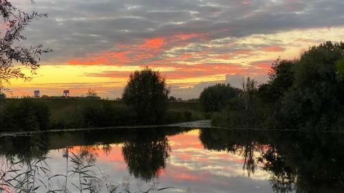 Hostal Bommelerhoeve B&B & Vakantiewoning