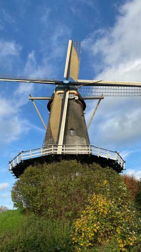Hostal Bommelerhoeve B&B & Vakantiewoning