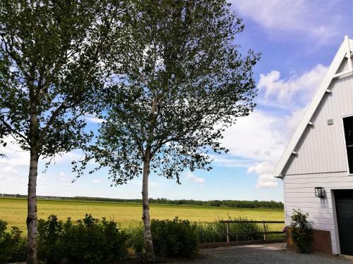 Jo's B&B