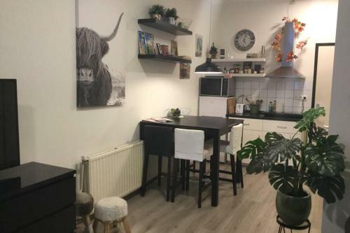 Apartamento Studio E