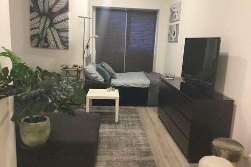 Apartamento Studio E