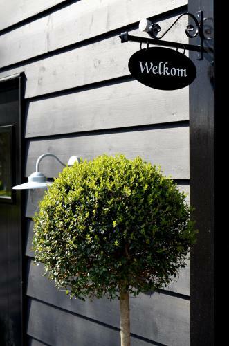 Bed & Breakfast De Meulestee