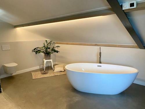 Apartamento Loft
