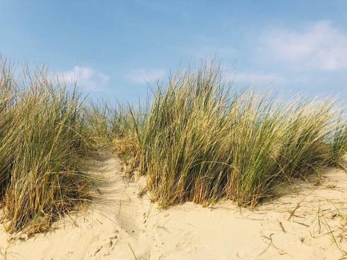 Chalet Zwin & Zee Cadzand-retranchement