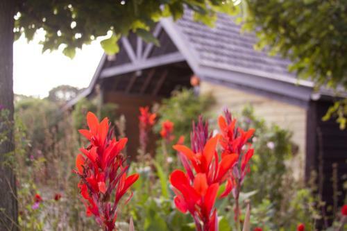 Bed & Breakfast De Stippelberg