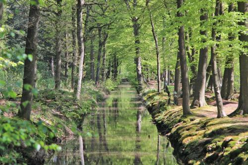 Luxe Safaritent 6 Persoons Op Camping Rijsterbos
