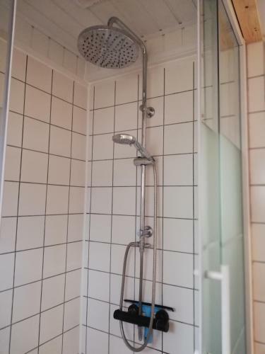 Roodborstje 4 Persoonschalet Putten