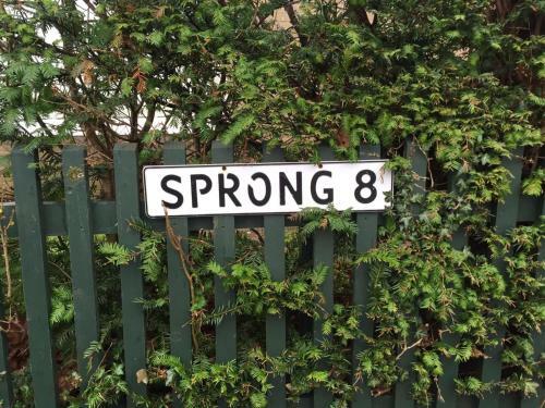 Sprong 8
