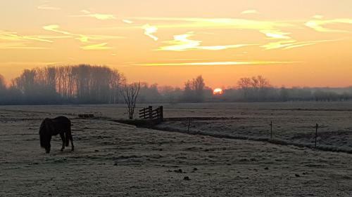Water & Meadow Cottage In Central Holland 2a 2c