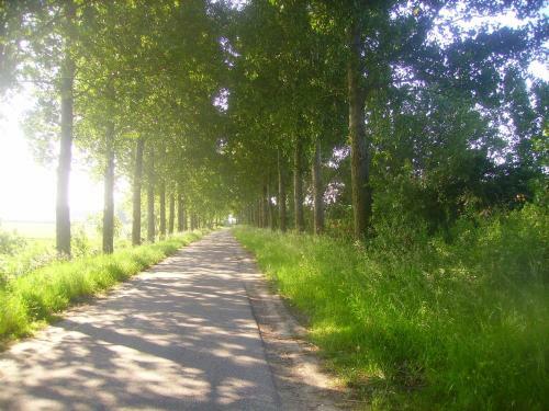 Krabbenkreek 2