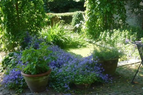 B&B Veerhoeve