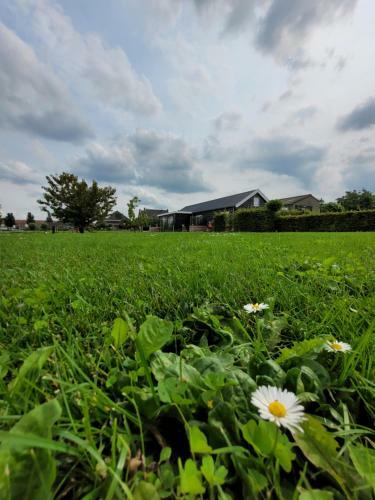 B&B Buutegeweun