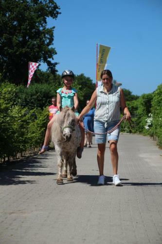 Camping De Kuilen