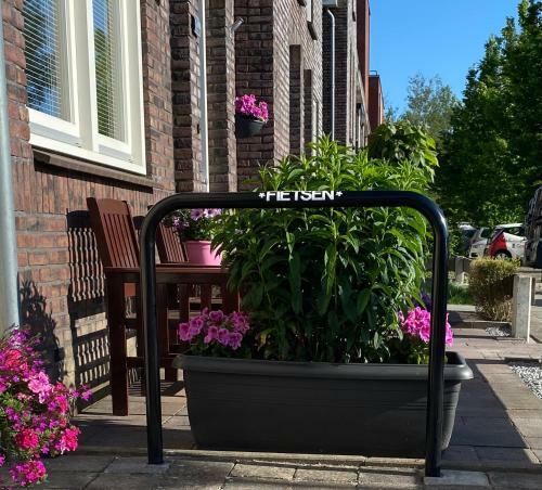 B&B Waterpoort