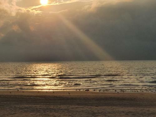Bed & Breakfast Scheveningen Sea Side