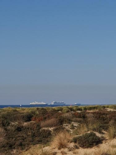 Bed & Breakfast Scheveningen Sea Side
