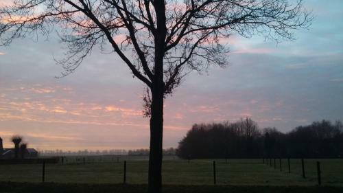 B&B De Heide