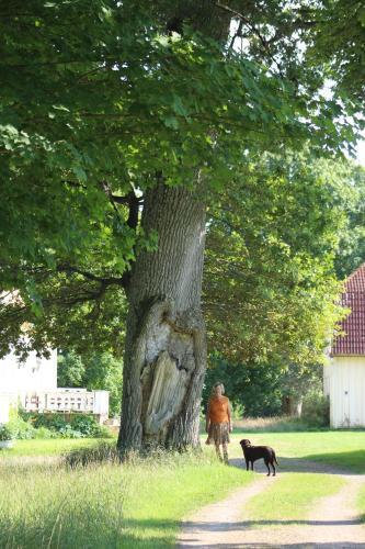 Yxkullsund S�teri B&B - Manorhouse Since 1662