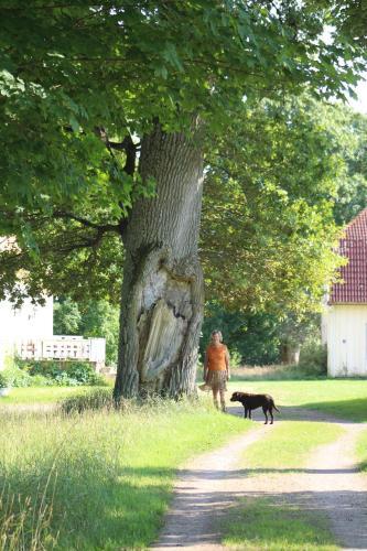 Yxkullsund S�teri B&B - Manorhouse Since 1662