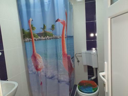 Hostal Pensiunea Ronicson