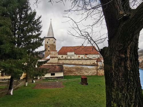 Agroturismo Burg Apartments Meschen