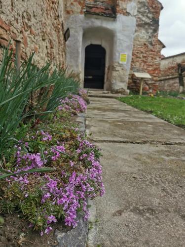 Agroturismo Burg Apartments Meschen