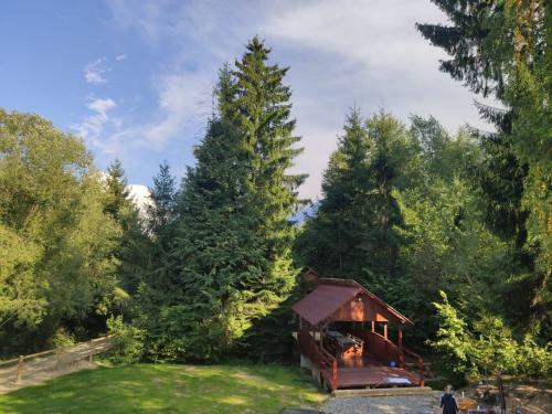 Hostal Pensiunea Teodora