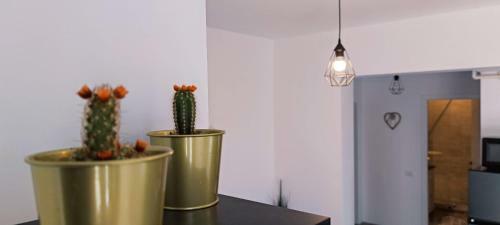Apartamento Seaside Velvet