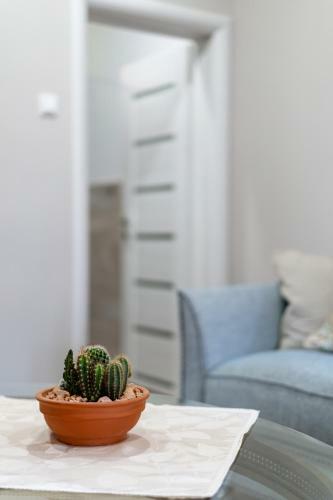 Be My Apartman