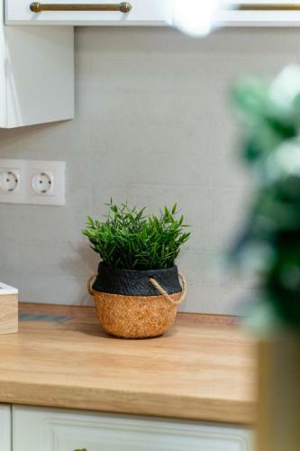 Central Harmony Apartment