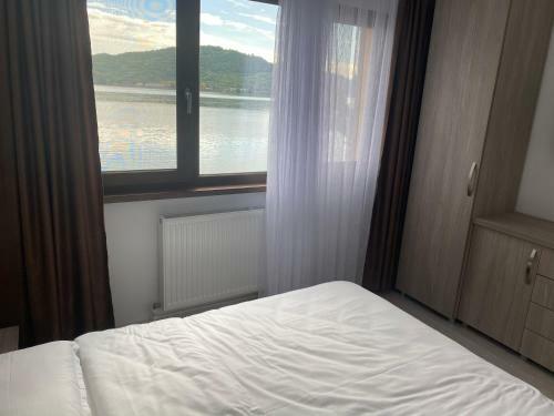 Apartament Dunarea
