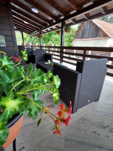 Hostal Cabana La Pestera