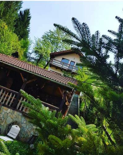 Cabana V�n?torilor