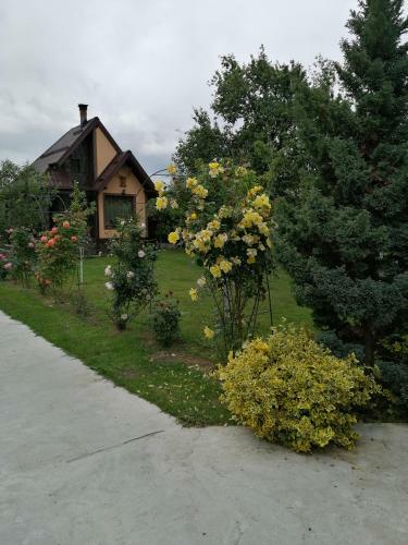 Conacul Caterinei C?su?a Din Povesti