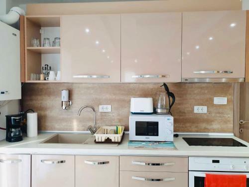 Apartament Manu